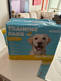 Puppy Training Pads