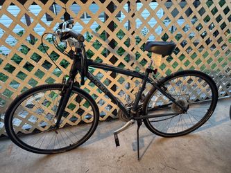 Trek Bike