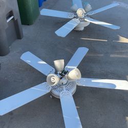 Ceiling Fans 