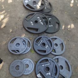 Dumbbells Weights Straight Bar