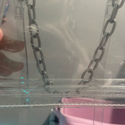 A Cute Clear Purse 