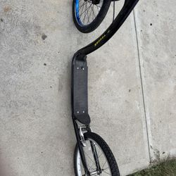 Kick Scooter