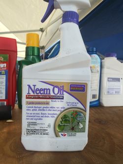 Spray 3 in 1 neem oil