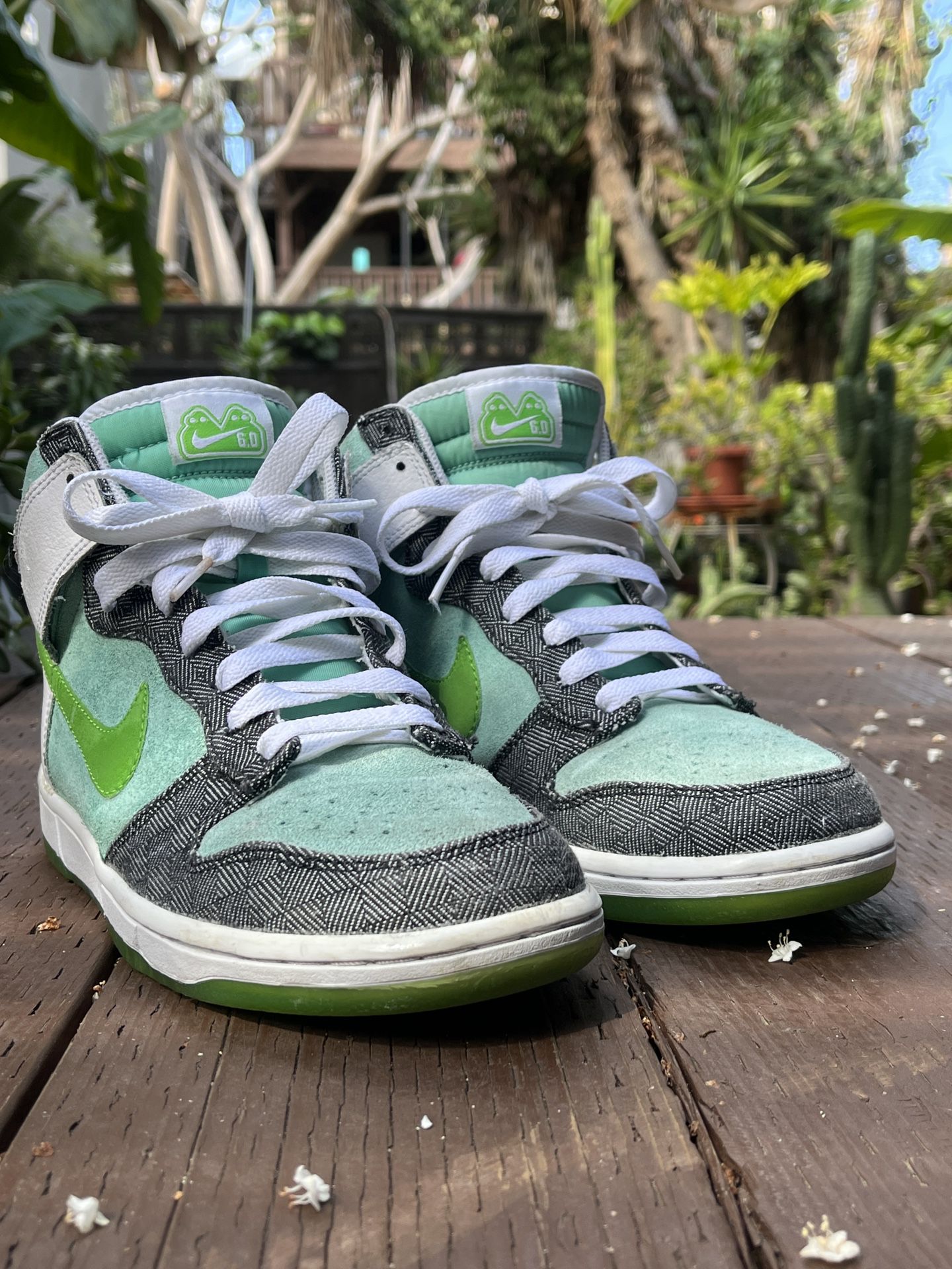 Nike 6.0 Dunk Shoes for Sale in San CA - OfferUp