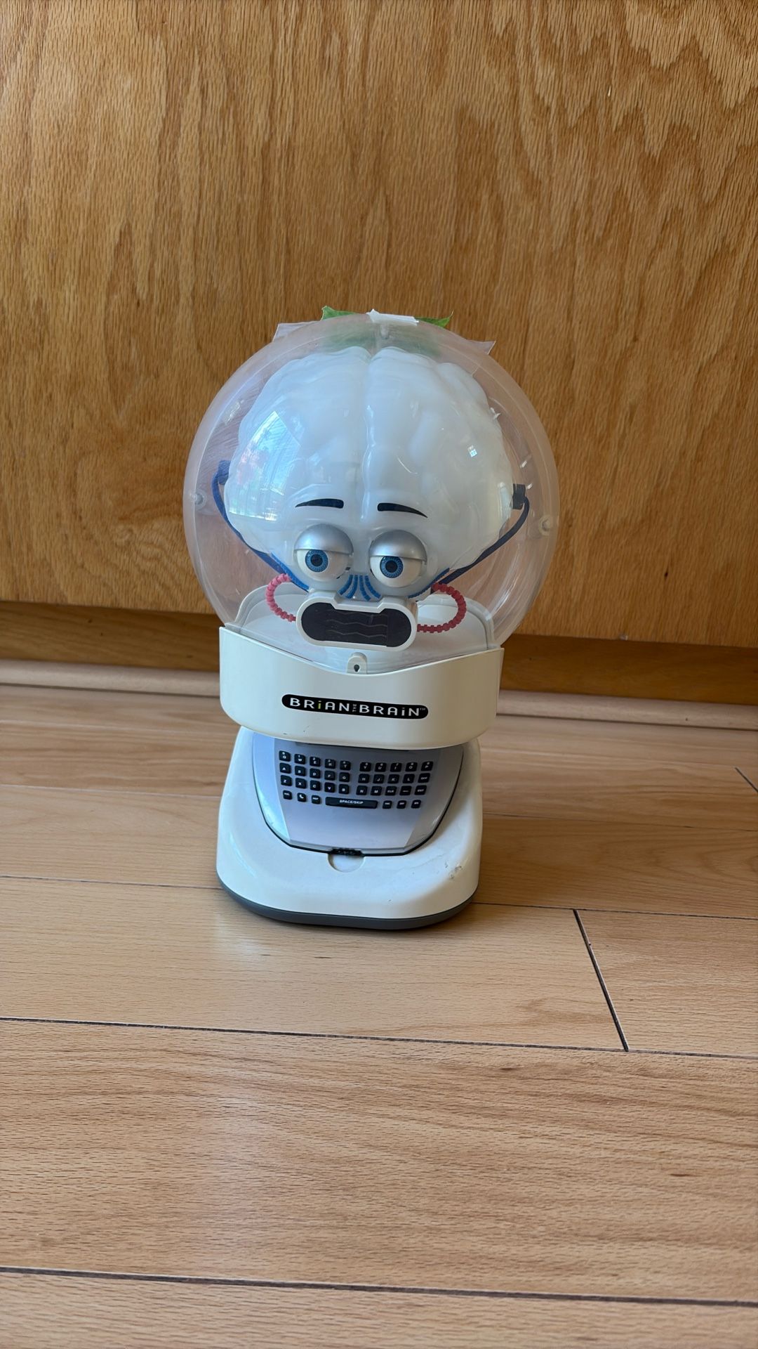 AI Talking Electronic Brain 🧠