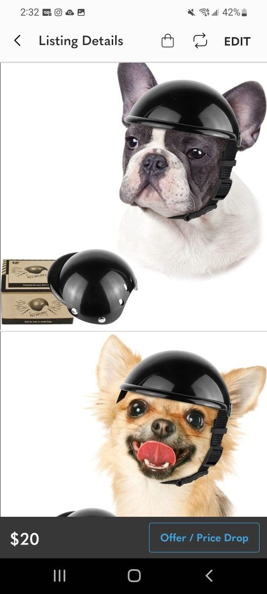 New helmet for dog and/ or cat Size M