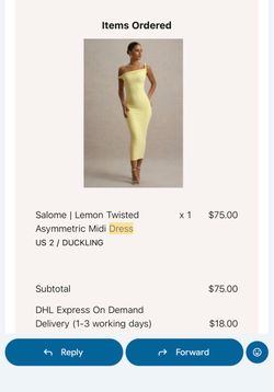 Dress US size 2