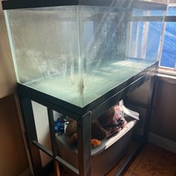 Glass rectangle Aquarium Tank