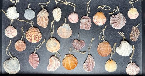 Lot of 25+ Handmade Wire-Wrapped Shell Pendants - Boho Beach Style