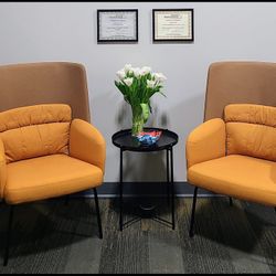 Set of 2 Modern Office Chairs