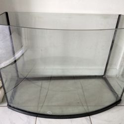 Bow Front Aquarium 