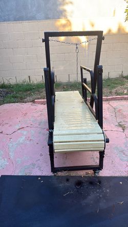 Dog treadmill