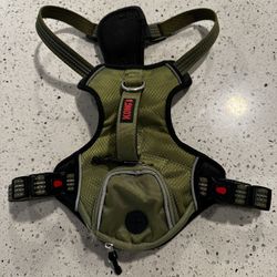 Kong Dog Small Harness And Small K9 Collar 