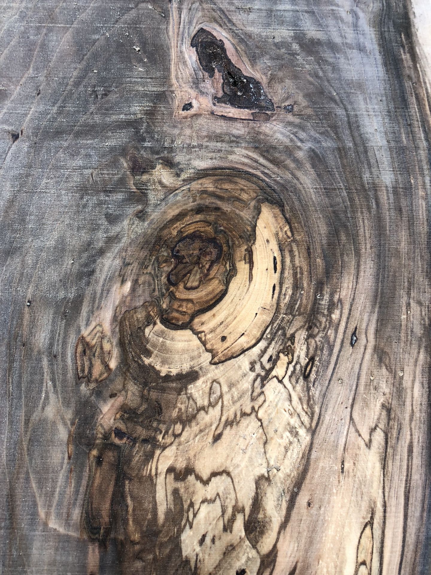 Live Edge Black Gum Slabs