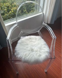 Trendy Transparent Chair $80