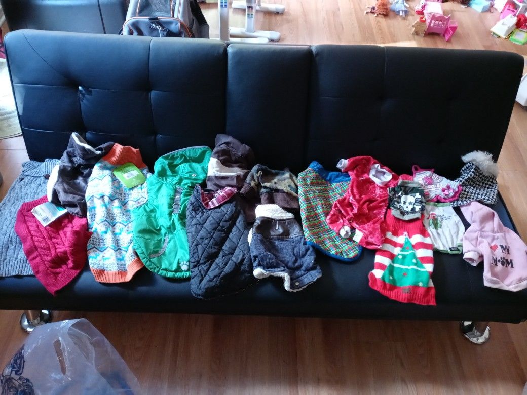Dog Clothes