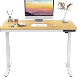 24*48" Electric Standing Desk - Like New - Adjustable Height Sit Stand Office Computer Desm