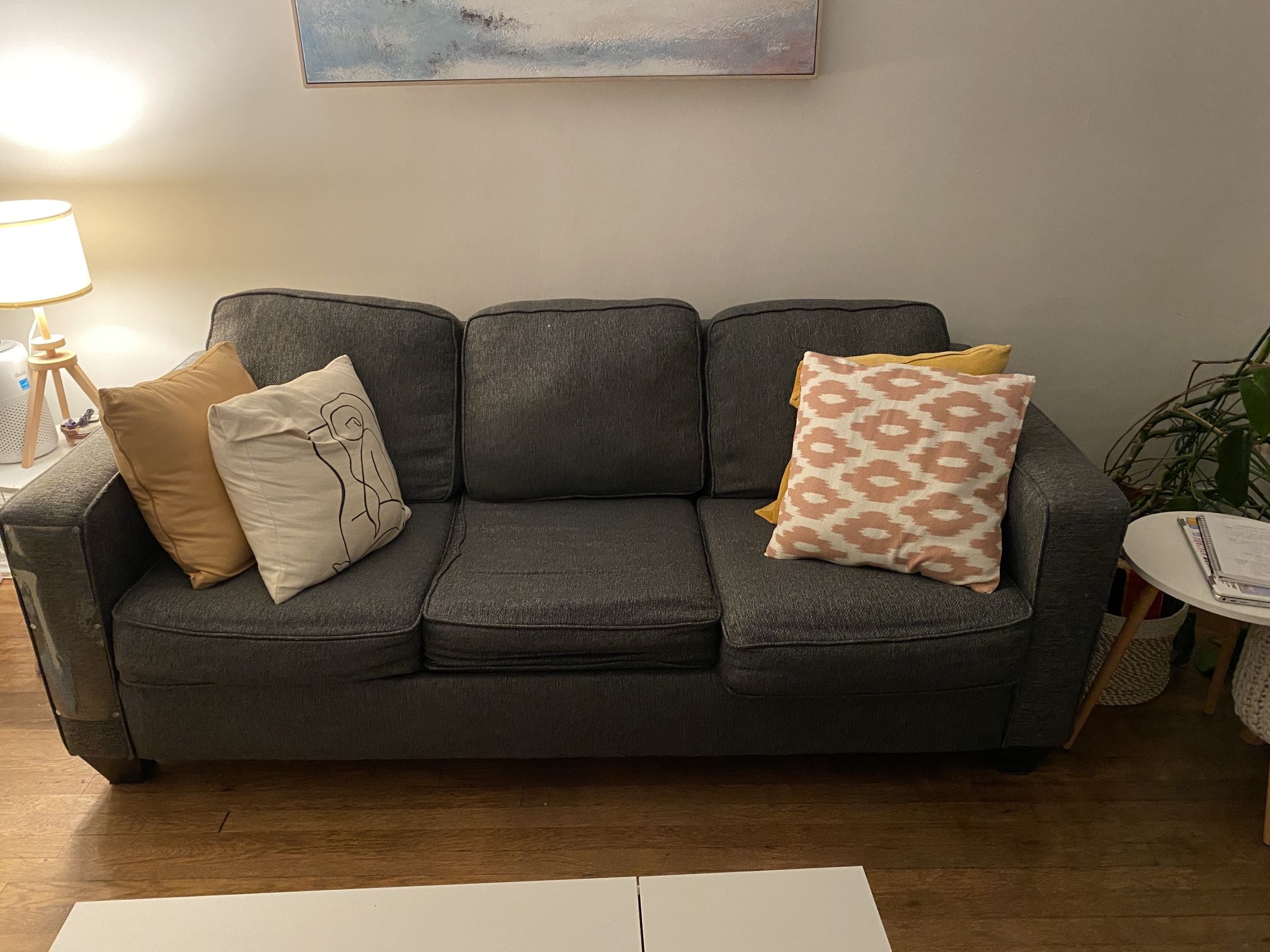 Pull Out Couch (Queen)