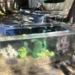 Acrylic aquarium