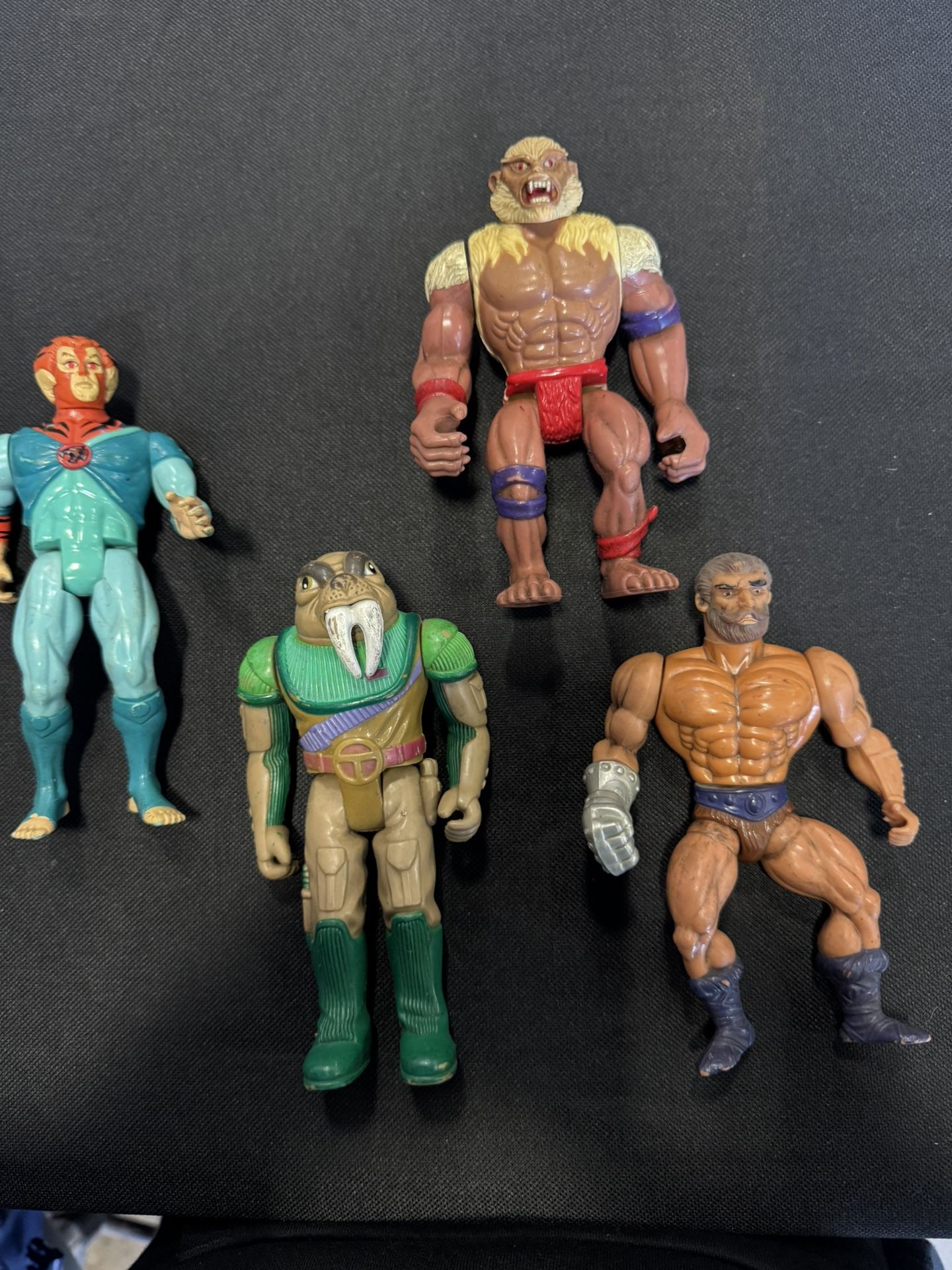 ThunderCats He Man Figures