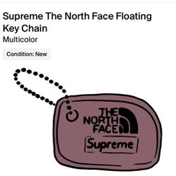 Supreme x The North Face Floating Keychain