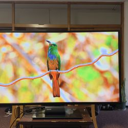 LG 49 inch TV Display for Sale