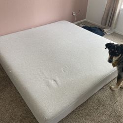 King Size Casper Mattress FREE, Must Pick Up - Dog Not Included ;)