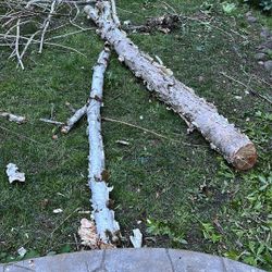 Free River Birch Wood 