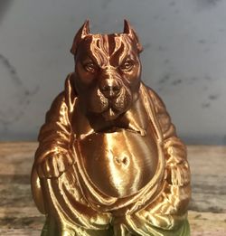 American bully cheap gifts