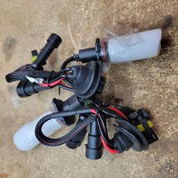 Hid Bulbs
