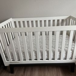 Crib & Two stage Matress