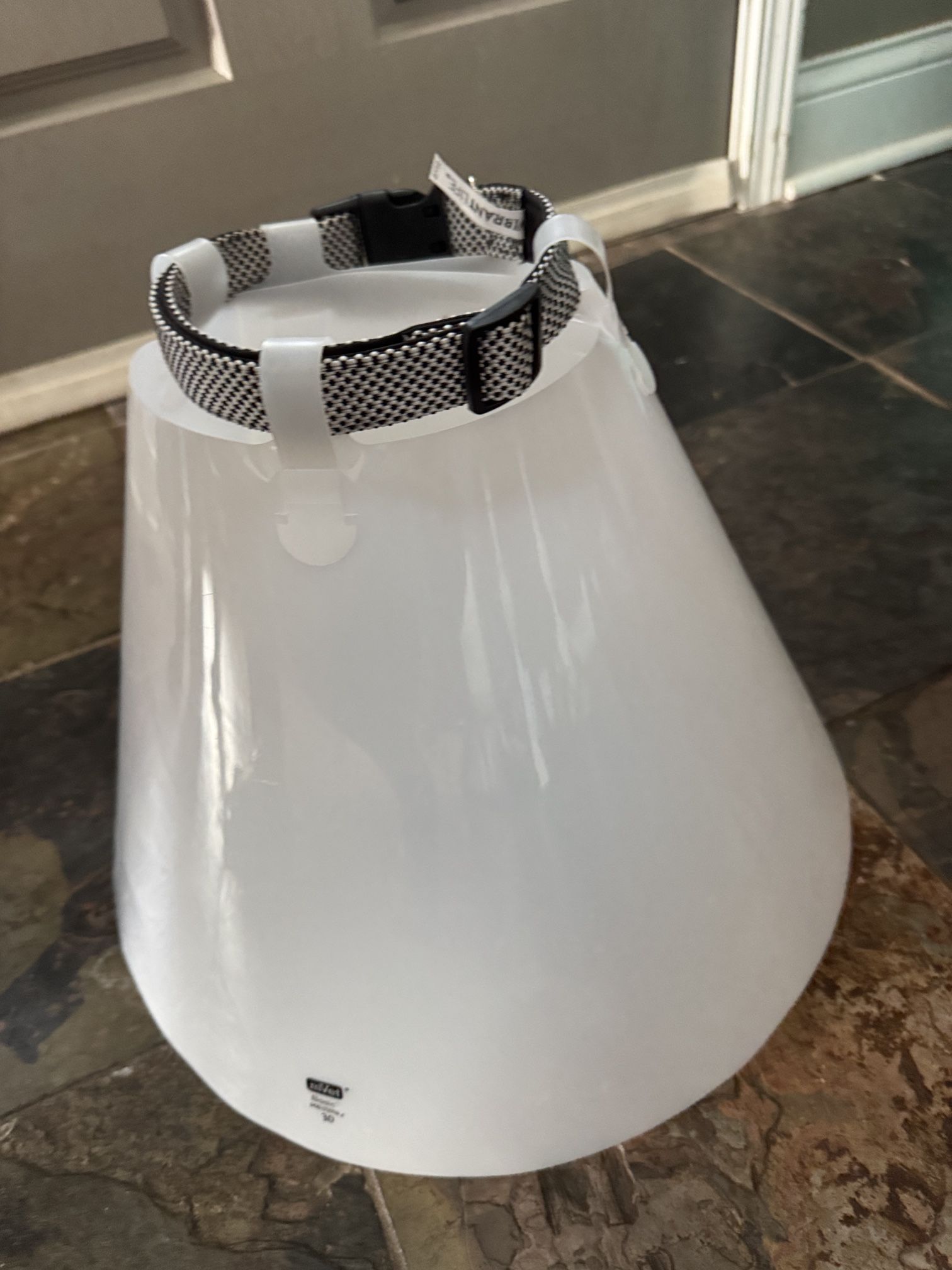 Large Dog E-Collar