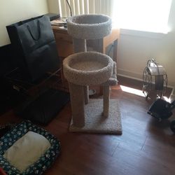 New Cat Play Station