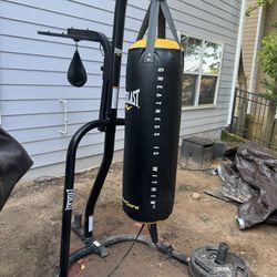 Everlast Punching Bag STAND & Speed Bag (PUNCHING BAG NOT INCLUDED) 