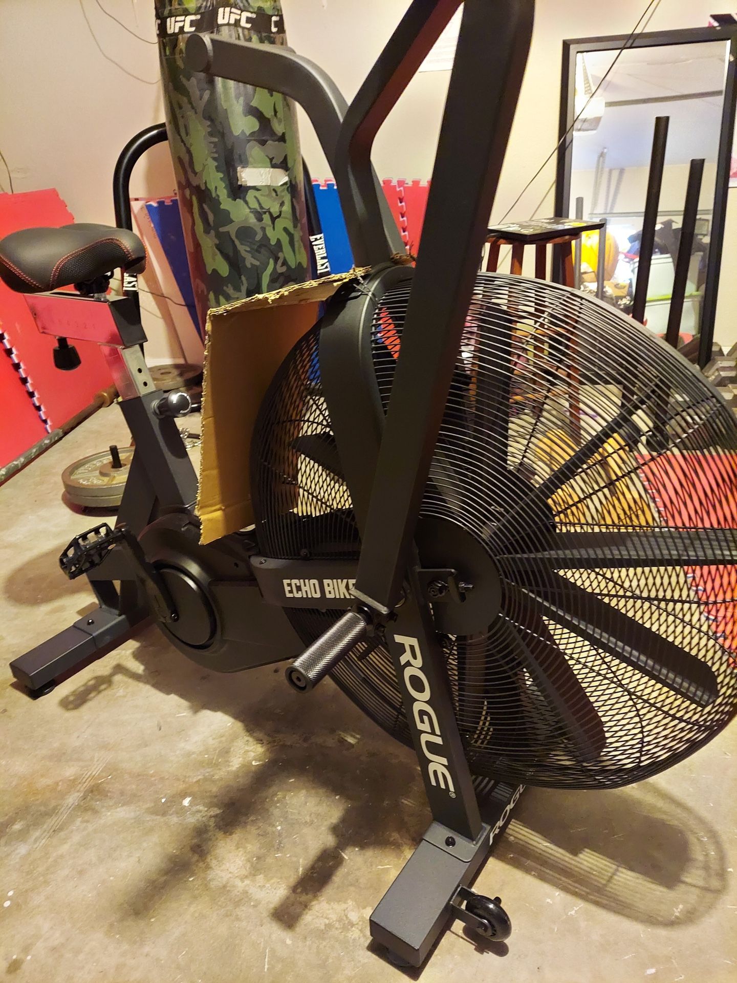Rogue Echo Bike  - Excellent Condition! Must Go!