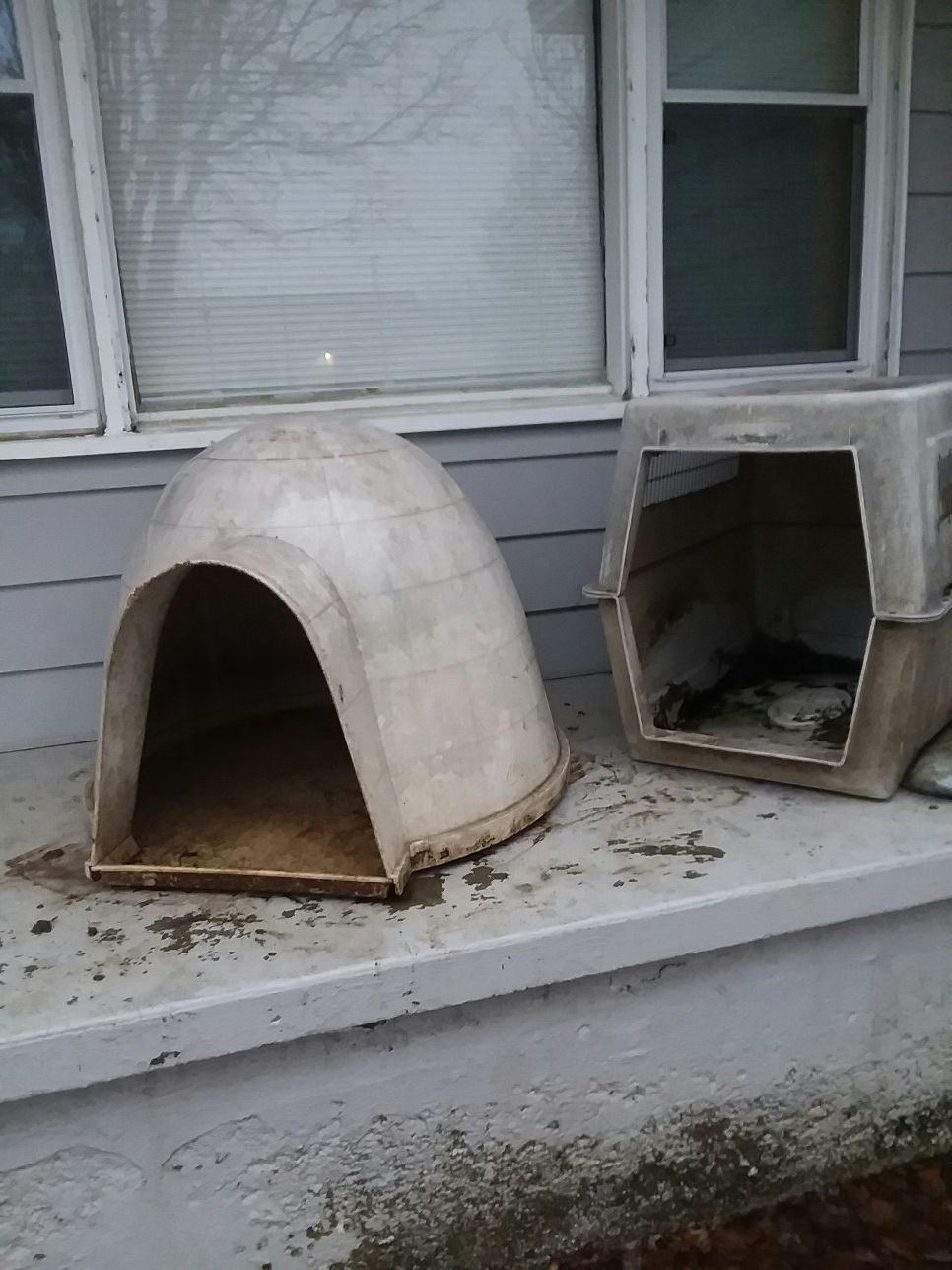 Dog house $10/$5