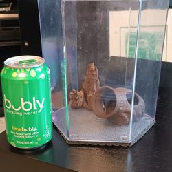 1gal Desktop Aquarium 