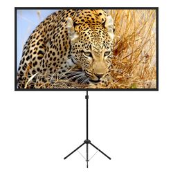 Projector screen stand