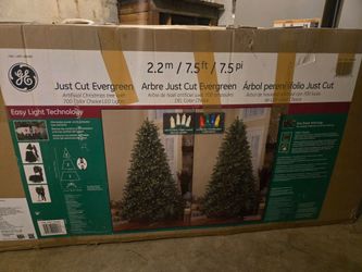 BIG CHRISTMAS TREE: Beautiful GE “Just Cut Evergreen”  in original box.