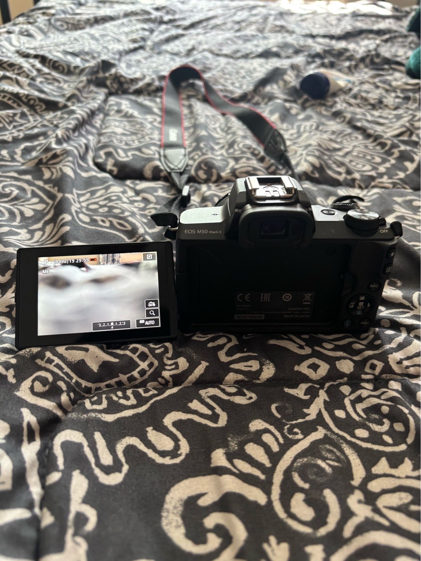 Canon EOS M50 Mark II