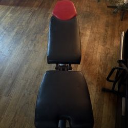 Bowflex Weight Bench 