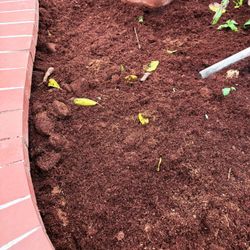 Nature's Premium Coco Coir Discs