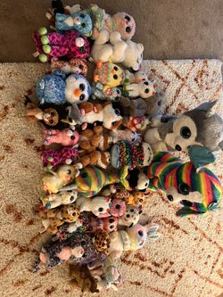 Beanie Boo Lot