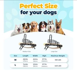 Dog Treadmills – Medium & Large Sizes Available (Used Like New!)