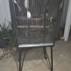 Jaula Negra De Hierro Fuerte Para Aves En Buenas Condiciones