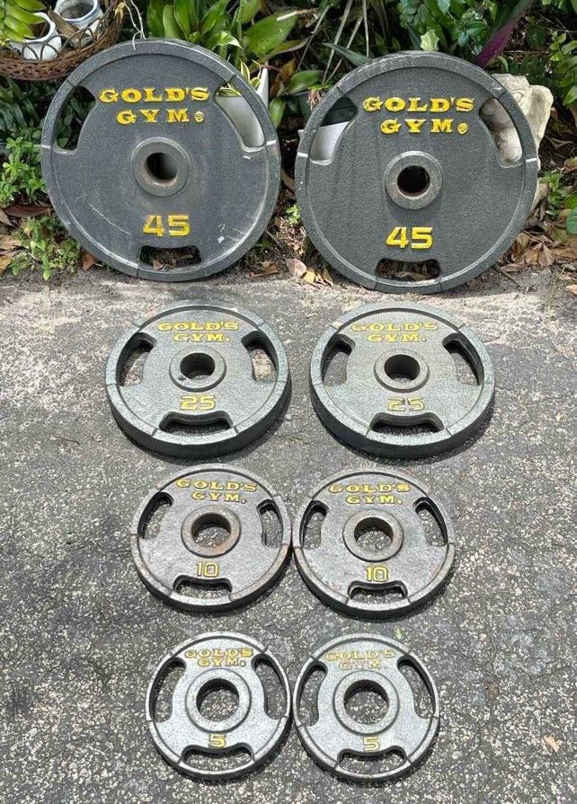 SET OF GOLDS GYM EASY GRIP PLATES (PAIRS OF) : 45s 25s 10s 5s
