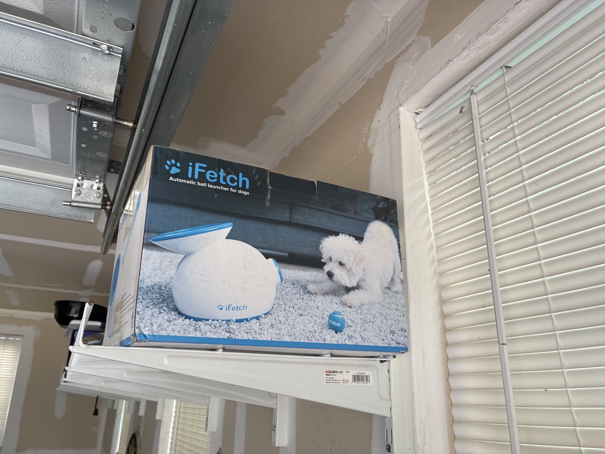iFetch Automatic Ball Launcher for Dogs