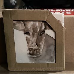 Animal themed coasters