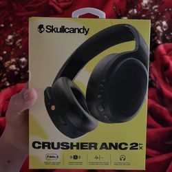 Skull Candy Headphones