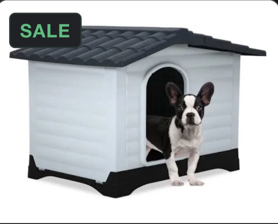 Dog House